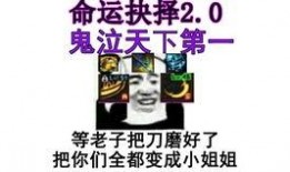 宝哥爆料龙猫视频播放下载,龙猫视频播放与下载技巧大公开